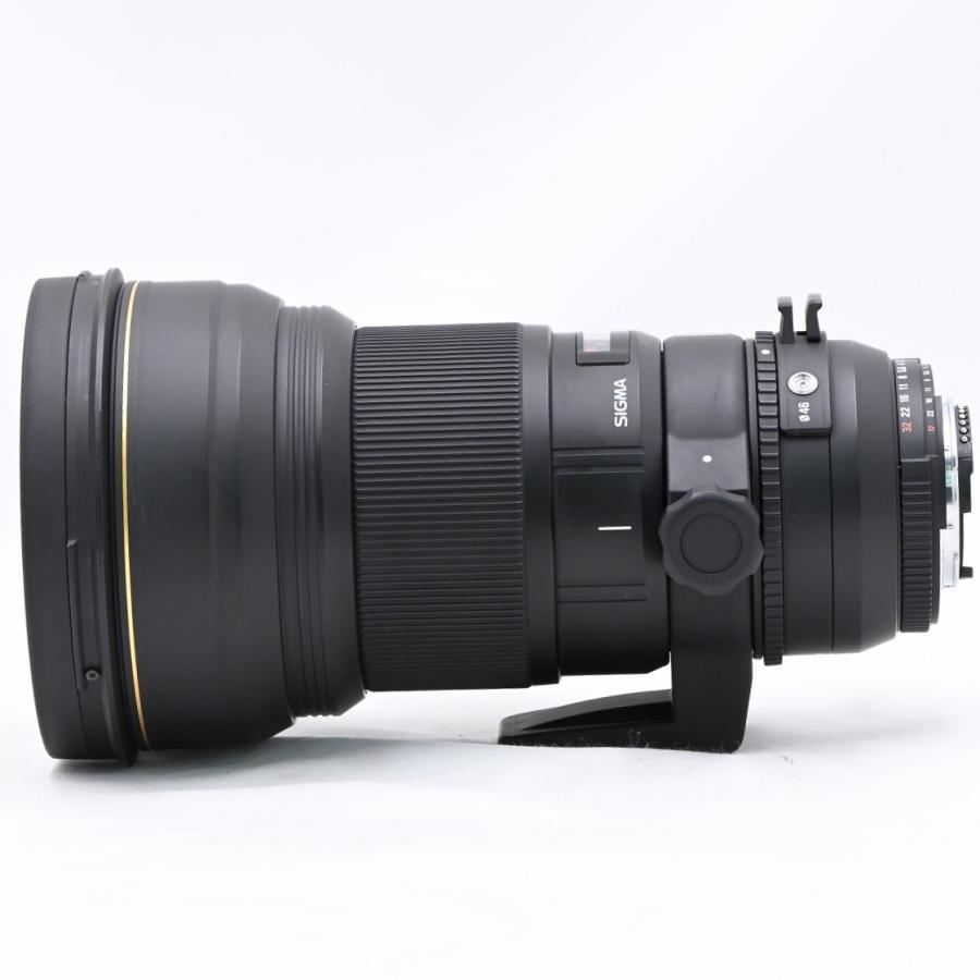 SIGMA シグマ APO 300mm F2.8EX DG HSM ニコンF用 : フラッグシップ