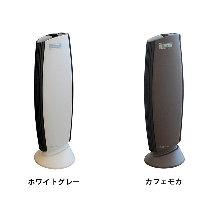 動画あり/Ionic Breeze GRANDE イオニックブリーズ グランデ 空気清浄