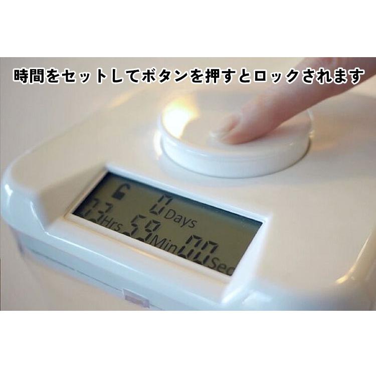 The Kitchen Safe タイムロッキングコンテナ miniサイズ ミニサイズ