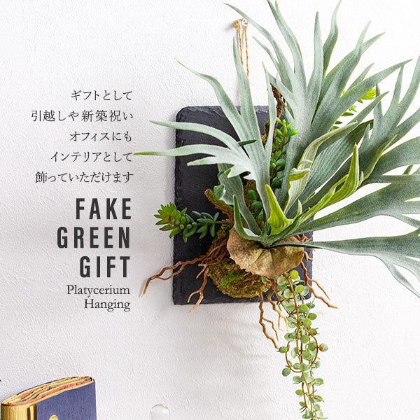 ビカクシダ コウモリラン ハンギング 壁掛け フェイクグリーン : 花と