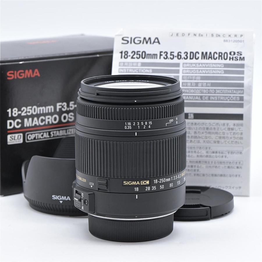 SIGMA シグマ 18-250mm F3.5-6.3 DC MACRO OS HSM ニコン用 : フラッグ