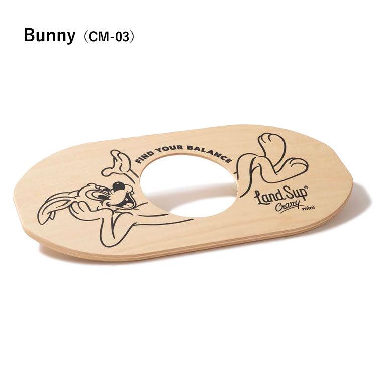 バランスボード LandSup Crazy mini ランドサップ クレイジーミニ 全2