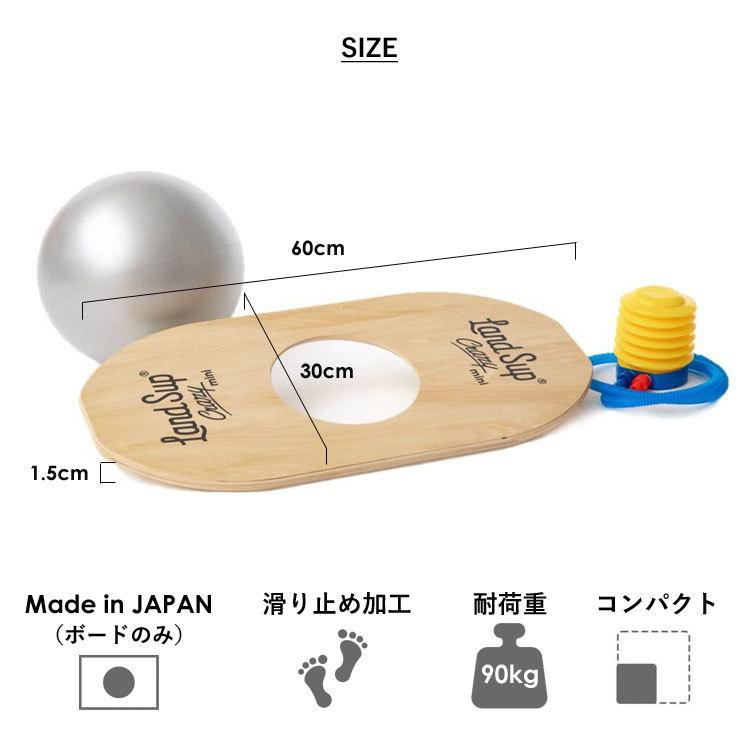 バランスボード LandSup Crazy mini ランドサップ クレイジーミニ 全2