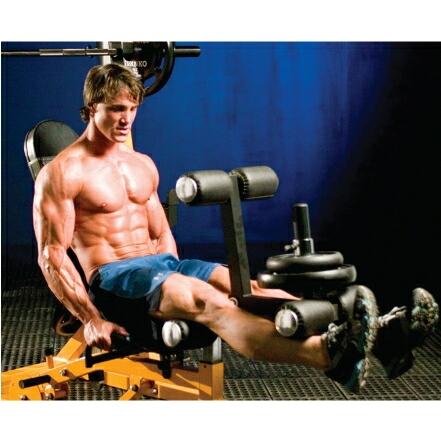 POWERTEC パワーテック WB-LLA23 レッグリフトアクセサリー 日本総代理