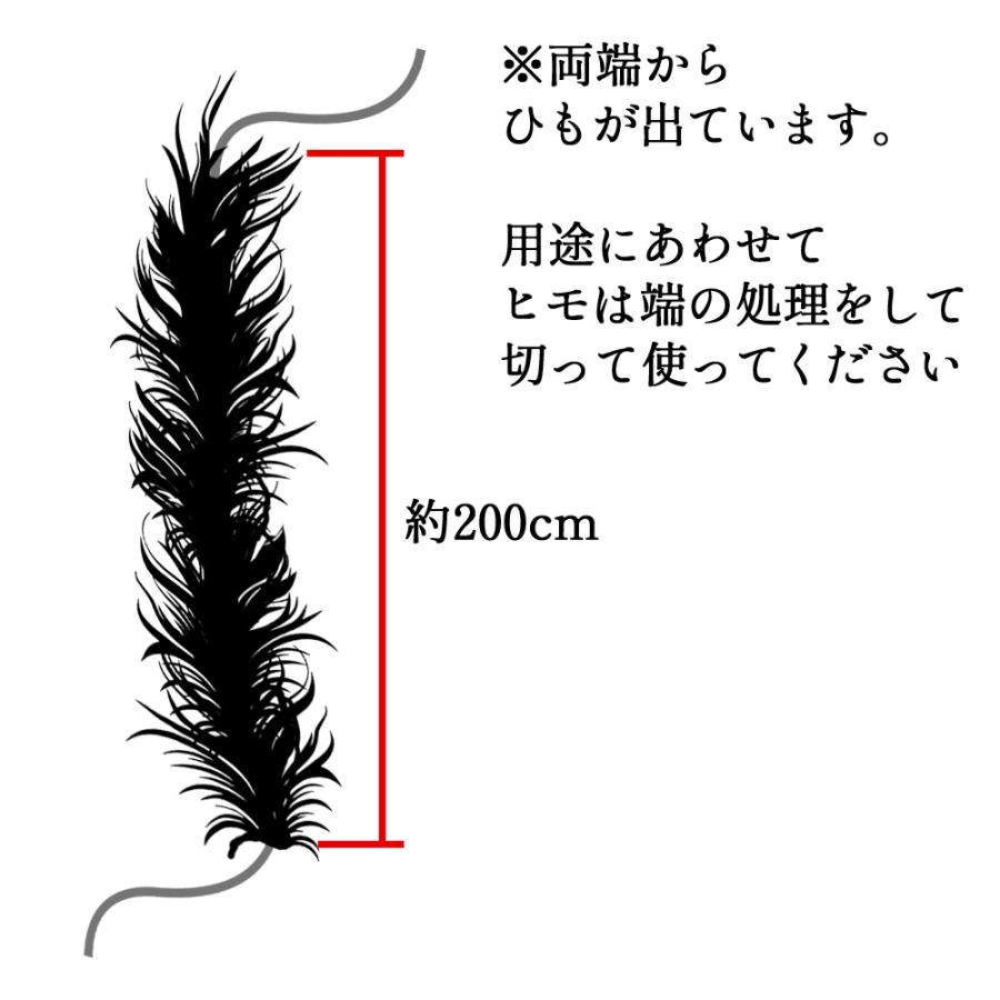 1PLY／オーストリッチ 羽毛 フロート ハンドメイド材料 社交ダンス