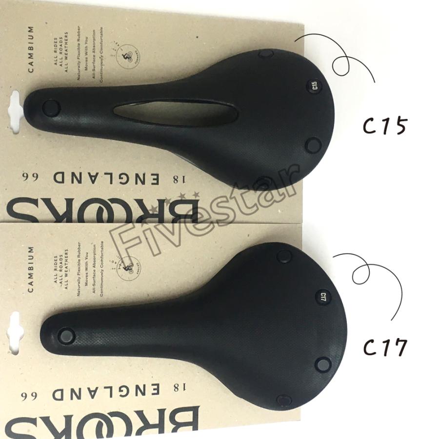 ブルックス（BROOKS） Brooks Cambium C15 Carved Black All Weather