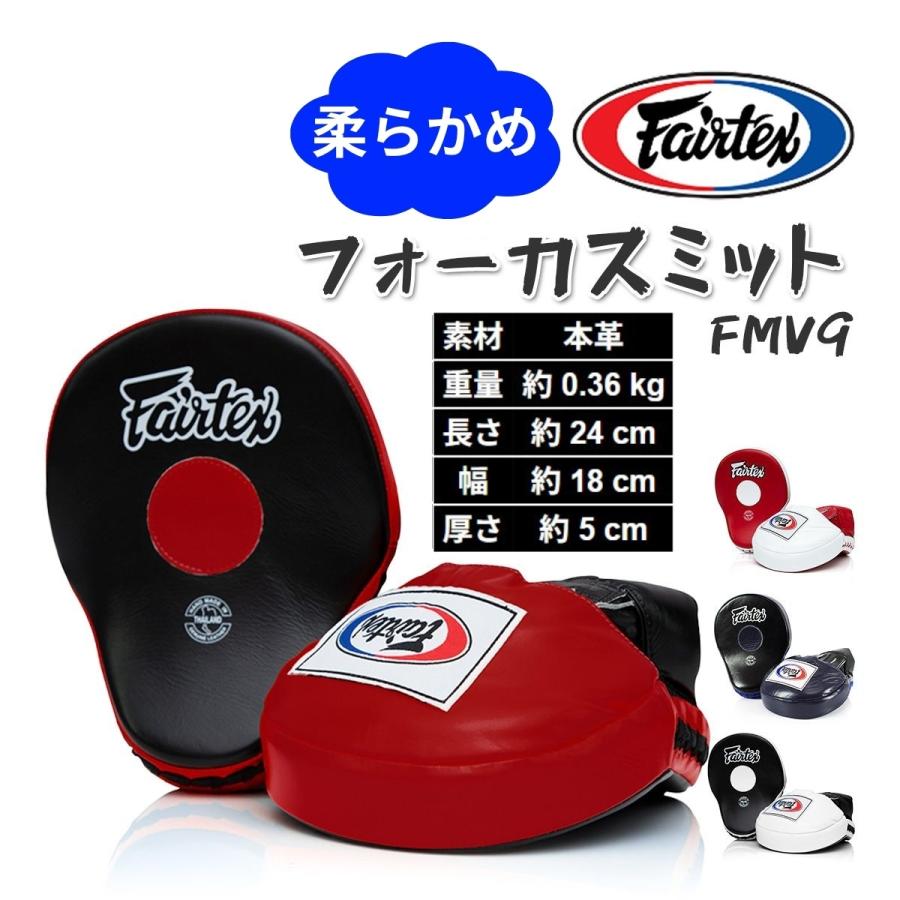 フェアテックス Fairtex 本革 フォーカスミット FMV9 大きい パンチ
