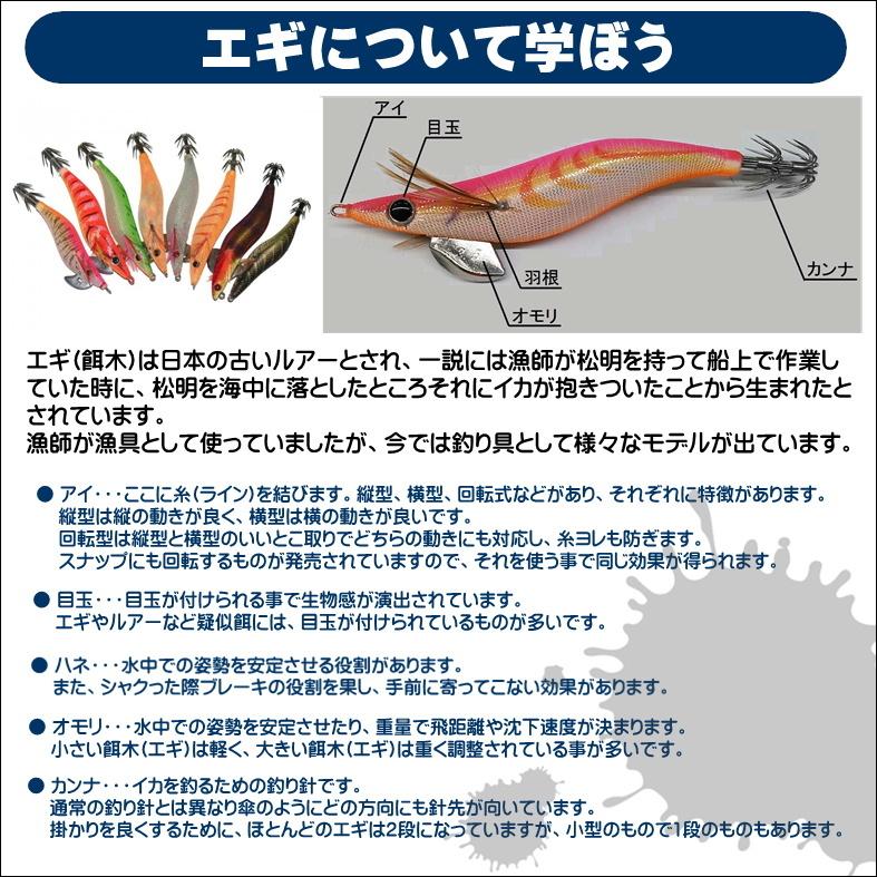 DAIWA（ダイワ） エギング入門セット ロッド・ダイワリールPEライン