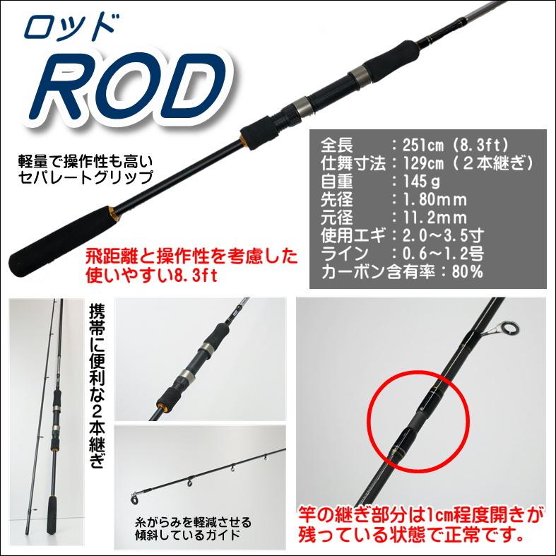 DAIWA（ダイワ） エギング入門セット ロッド・ダイワリールPEライン
