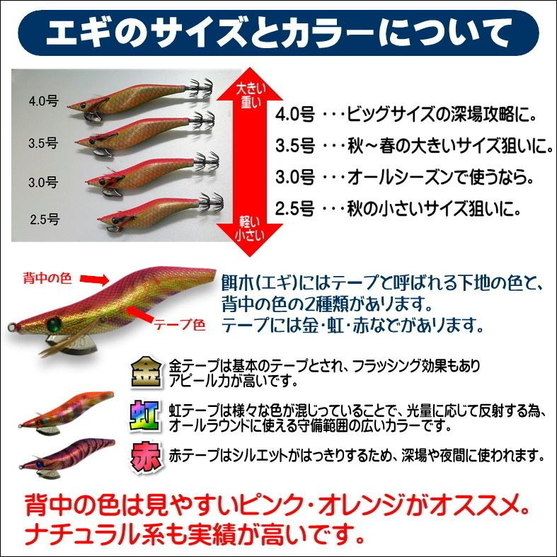 エギング入門セット ロッド・PEライン付きリール・エギ ラトル 3.5号5