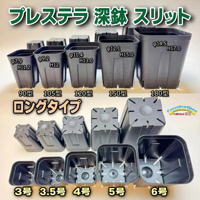 プレステラ深鉢 105-黒☆(硬質スリットポット)深型＠多肉植物・塊根