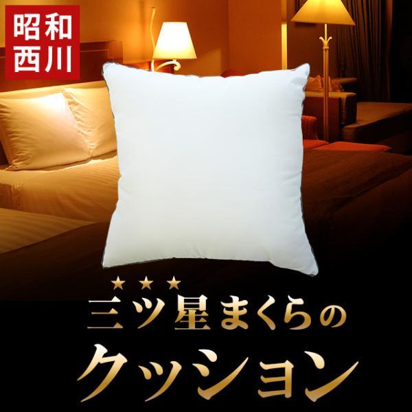 昭和西川 クッション ウォッシャブル ホテルモード ピロー 洗える