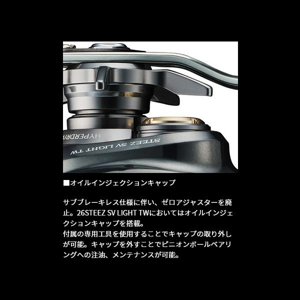 DAIWA（ダイワ） 26 スティーズ SV ライト TW 100HL (2025年 12月新