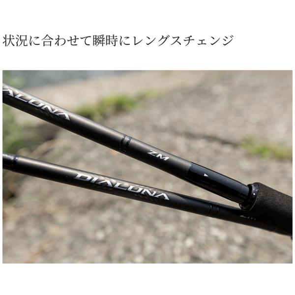シマノ（SHIMANO） 25 ディアルーナ ズーム S76-86ML シーバスロッド