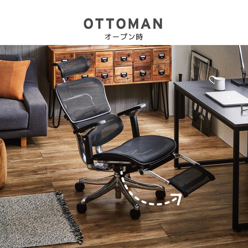 エルゴヒューマン プロ ハイタイプ オットマン内蔵 幅670×奥720×高さ