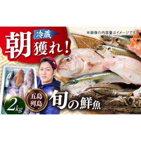 ふるさと納税 【五島列島直送】朝獲れ鮮魚セット2kg 五島市/鯛福丸水産