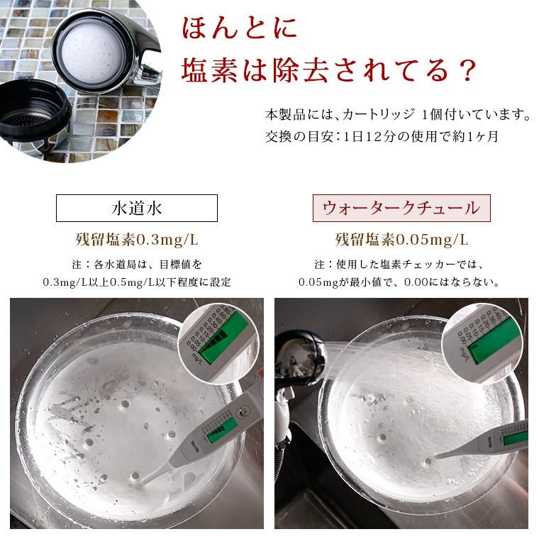 シャワーヘッド 塩素除去「ウォータークチュール」浄水シャワー 本体＋