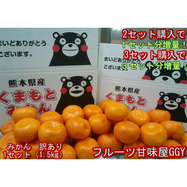 セット】みかん 訳あり 1セット1.5kg 熊本産 2セット購入で1セット