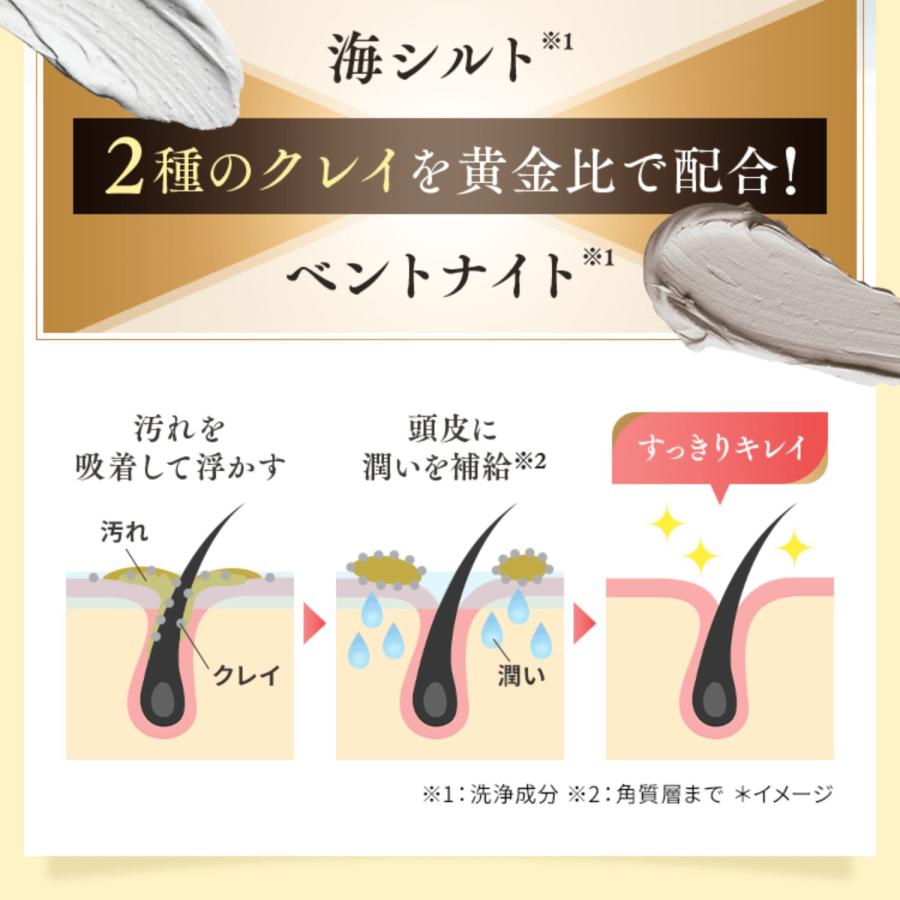 白髪染めシャンプー カラーシャンプー トリートメント不要 女性 男性