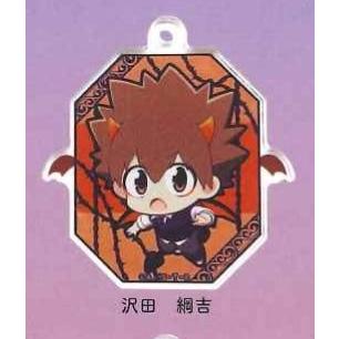 沢田綱吉】 家庭教師ヒットマン REBORN! （リボーン） アクリルキー