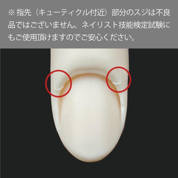 JNEC認定 STモデルハンド 右手 チップ差込式(ネイルチップ付き)/ハンド