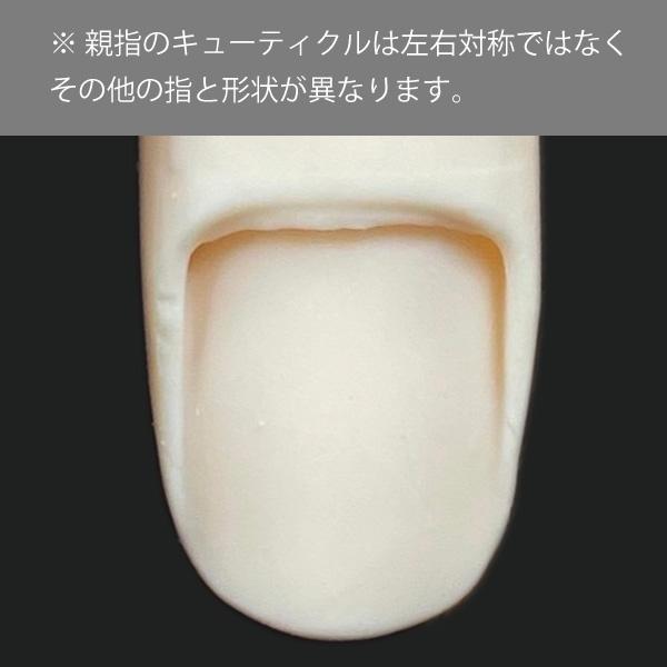 JNEC認定 STモデルハンド 右手 チップ差込式(ネイルチップ付き)/ハンド