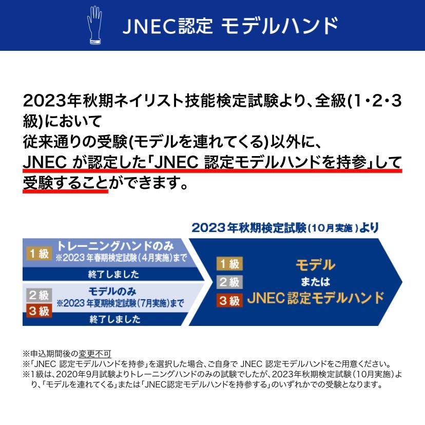 JNEC認定 STモデルハンド 右手 チップ差込式(ネイルチップ付き)/ハンド