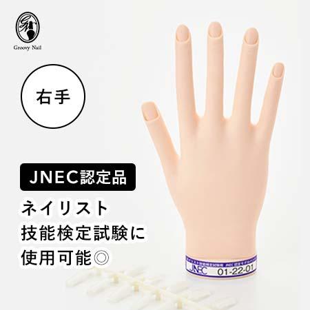 JNEC認定 STモデルハンド 右手 チップ差込式(ネイルチップ付き)/ハンド
