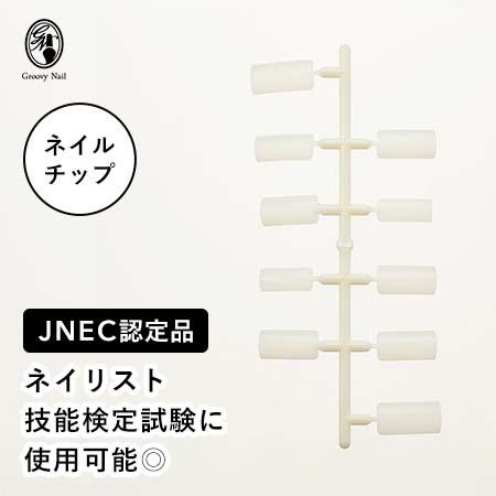 JNEC認定 STモデルハンド ネイルチップ 練習用/トレーニング用