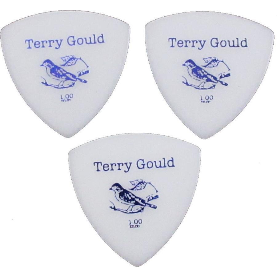 ナカノ Terry Gould GP-TG-R/100 1.00mm テリー・ゴールド ピック 3枚