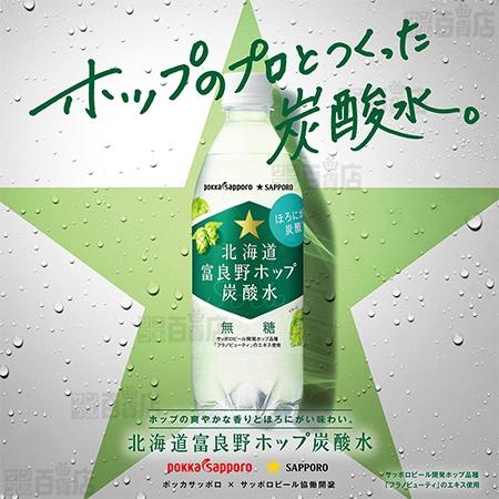 pokka sapporo（ポッカサッポロ） クーポン利用で76.9円/本 [48本