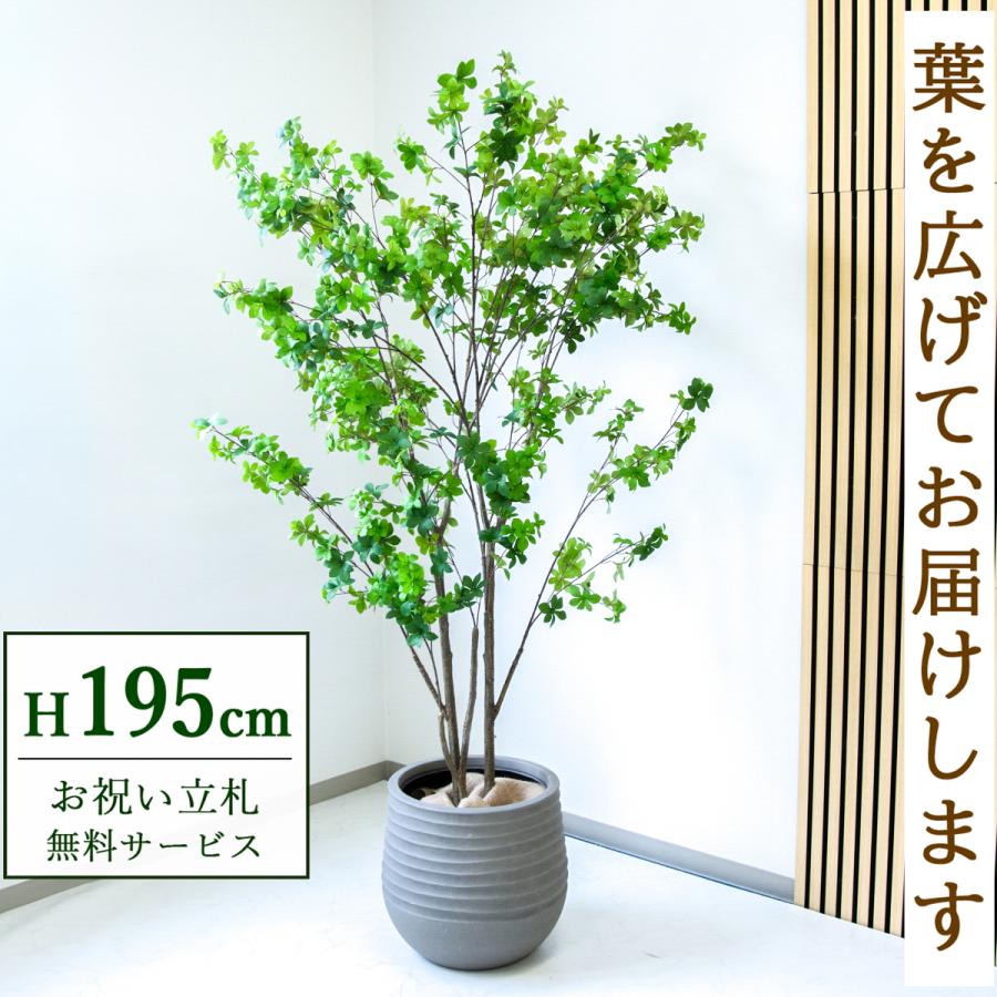 ☆立札無料☆【すぐ飾れる】 フェイクグリーン 人工観葉植物