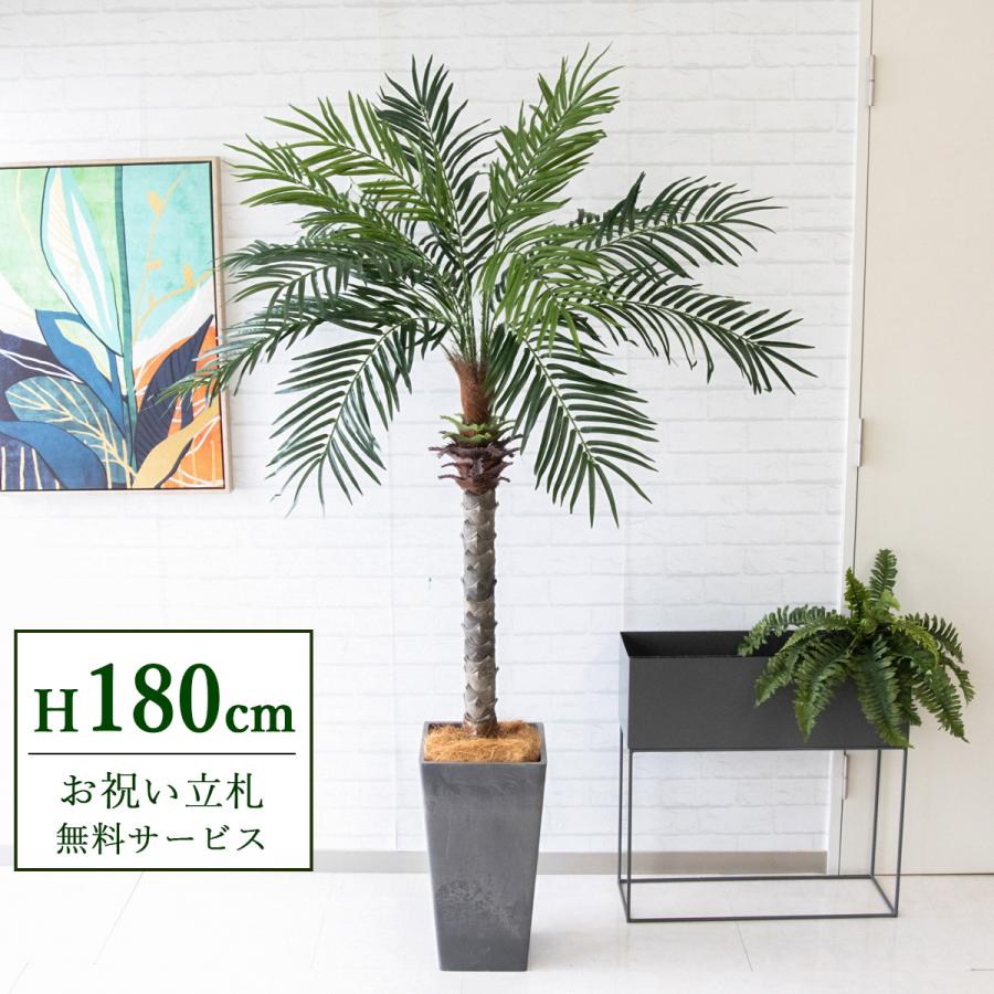 ☆立札無料☆【すぐ飾れる】 フェイクグリーン 人工観葉植物