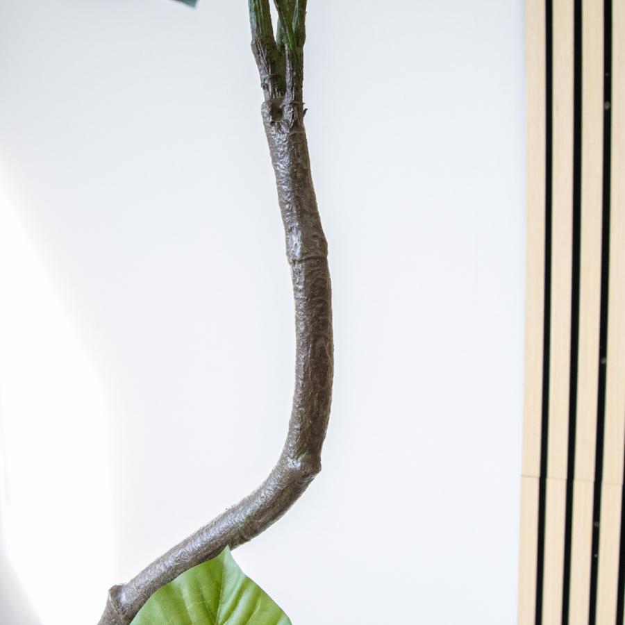 ☆立札無料☆【すぐ飾れる】 フェイクグリーン 人工観葉植物 フィカス