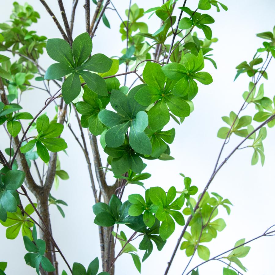 ☆立札無料☆【すぐ飾れる】 フェイクグリーン 人工観葉植物