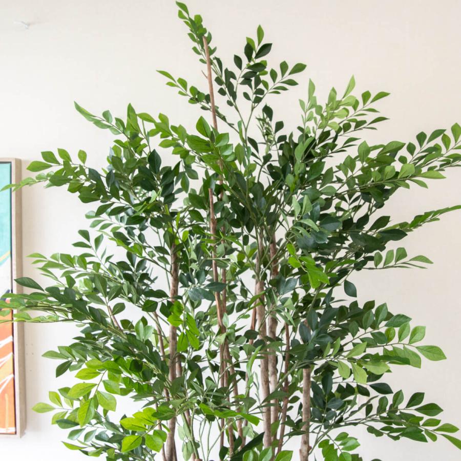 ☆立札無料☆【すぐ飾れる】 フェイクグリーン 人工観葉植物 トネリコ