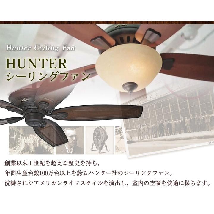 HUNTER シーリングファン 専用 交換・延長用ダウンロッド 12インチ