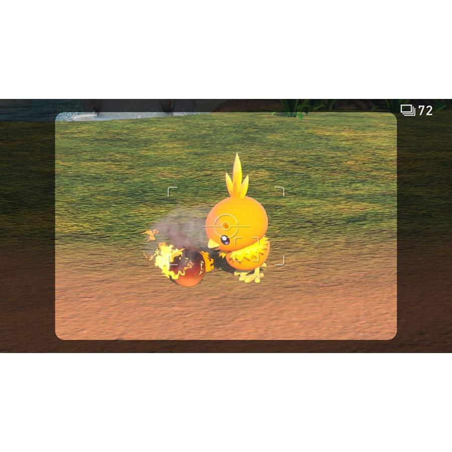 Switch Newポケモンスナップ（早期購入特典付）（2021年4月30日