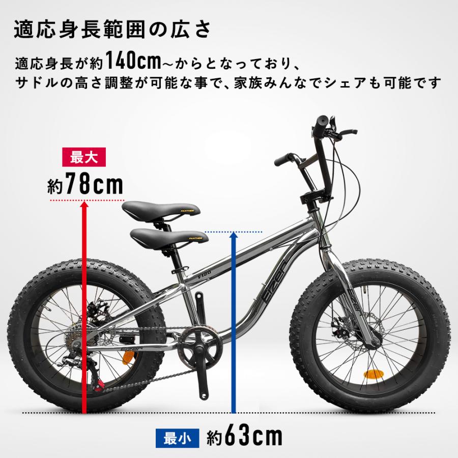 EIZER（アイゼル） ファットバイク 自転車 雪道 砂浜 シルバー メッキ