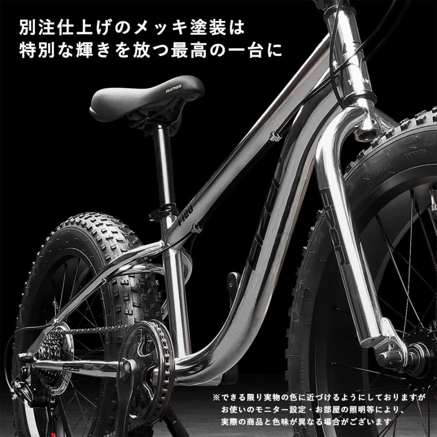 EIZER（アイゼル） ファットバイク 自転車 雪道 砂浜 シルバー メッキ