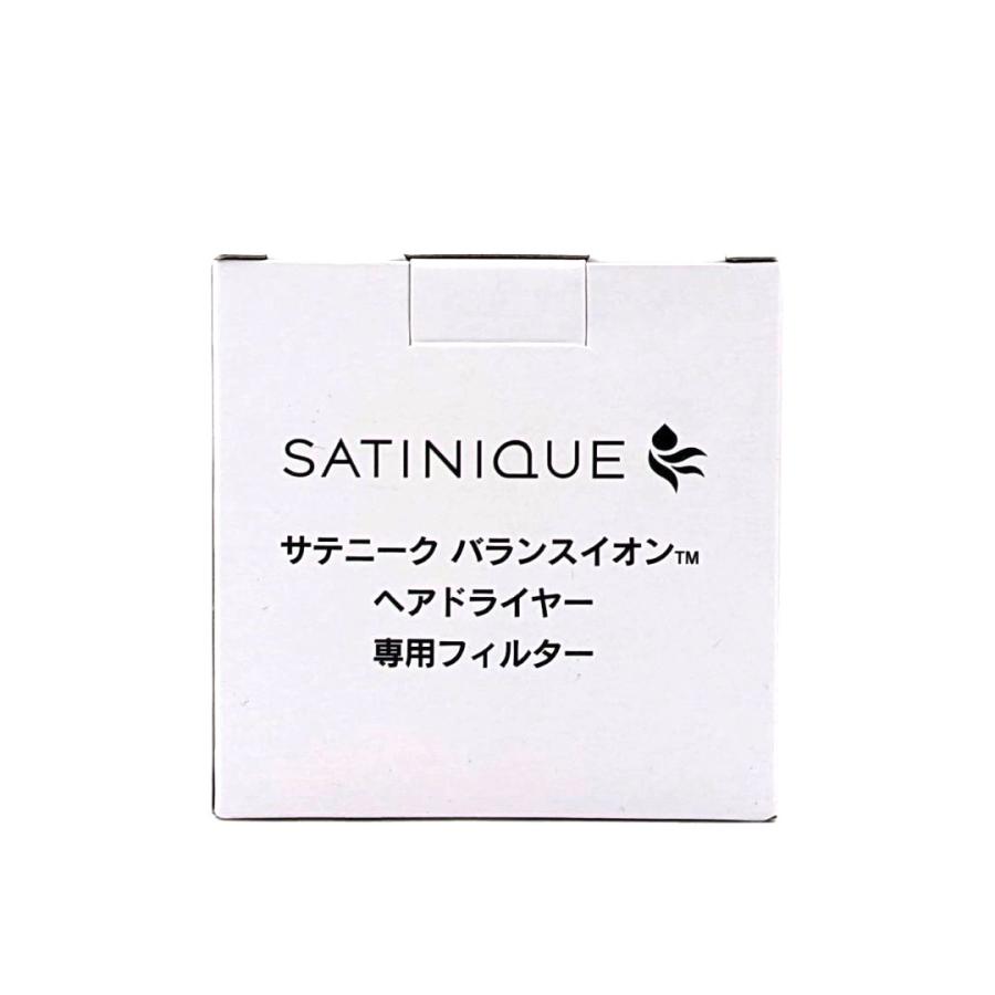 アムウェイ (Amway) サテニーク バランスイオン ヘアドライヤー 専用