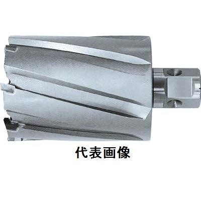 ジェットブローチ ワンタッチタイプ 49×50L NO.16449 日東工器