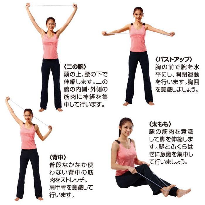 チューブ トレーニング ソフトチューブ ピンク 2個組 トレーニング