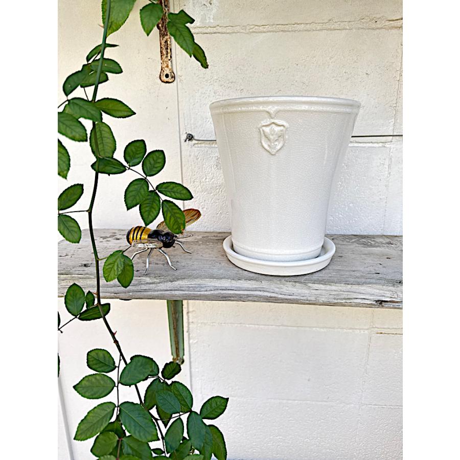 陶器鉢 植木鉢 【白/Lサイズ 7号】 Rose de Noel Parfaite クリスマス