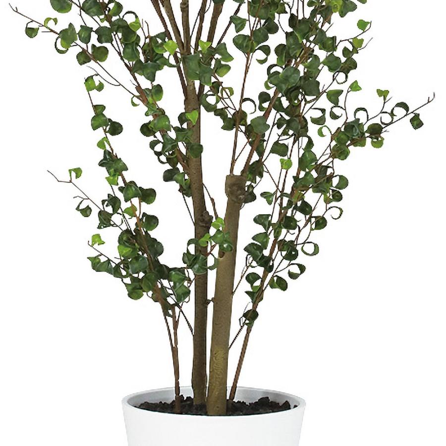 ベンジャミンバロック インテリアグリーン おしゃれ 人気 リアル