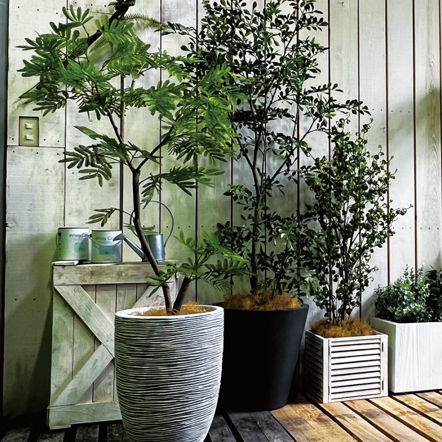 ベンジャミンバロック インテリアグリーン おしゃれ 人気 リアル