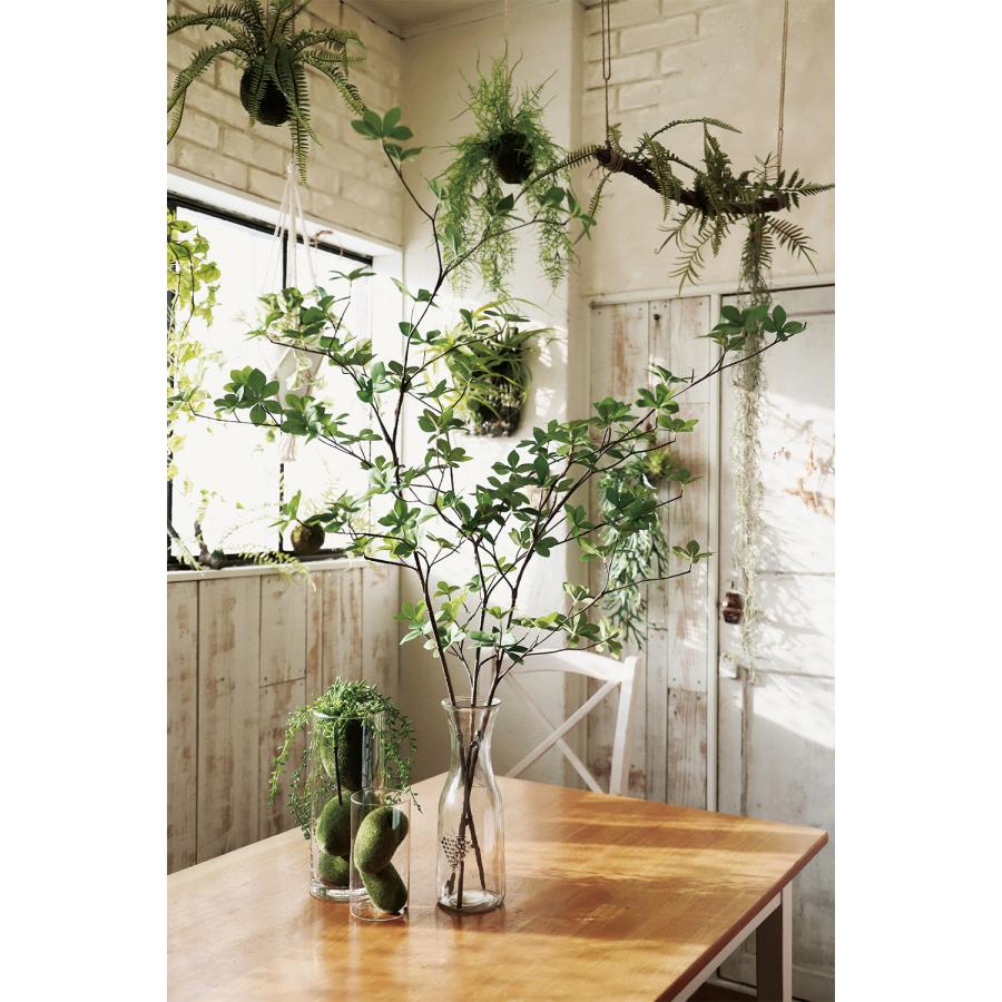 ドウダンツツジ インテリアグリーン おしゃれ 人気 おすすめ リアル