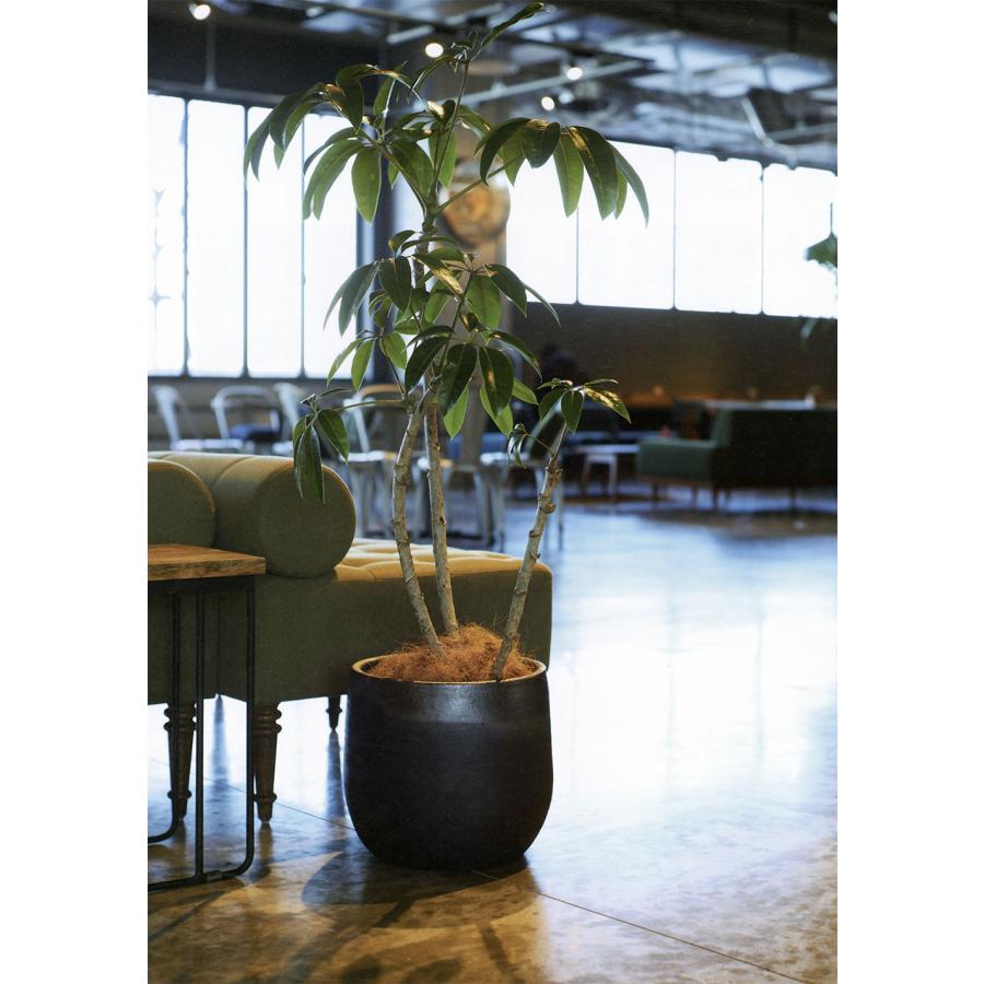 テラコッタ 大型 植木鉢 おしゃれ 人気 おすすめ プランター 観葉植物