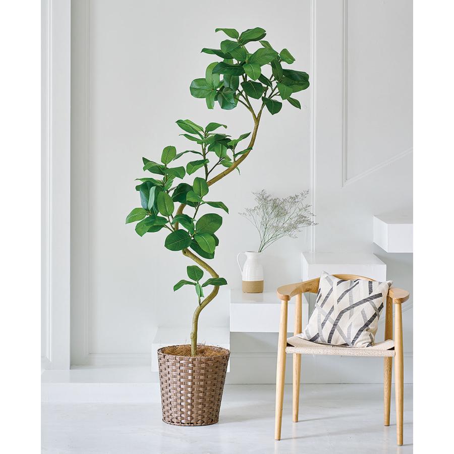 アルテシマ インテリアグリーン 大型 人気 おすすめ リアル フェイク