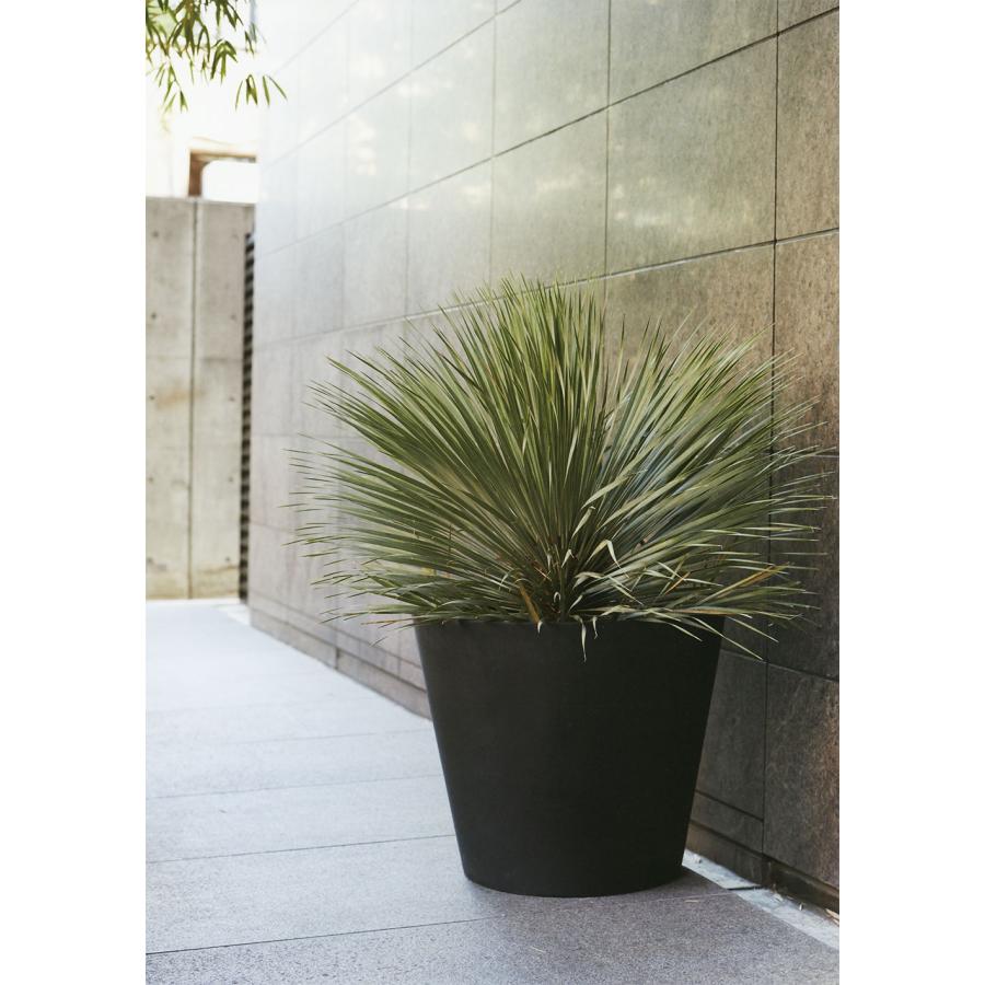 植木鉢 おしゃれ プランター 大型 観葉植物 人気 おすすめ 特大 大きい